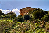 Segesta - Il tempio dorico